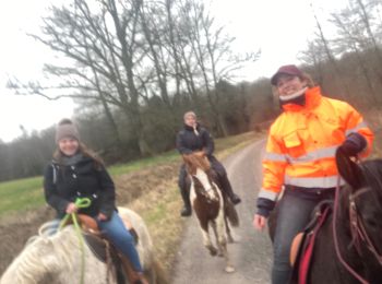 Trail Horseback riding Domèvre-sur-Vezouze - Jess elo Kenzo Julie migneville  - Photo