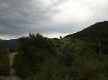 Trail On foot Sant Vicenç de Castellet - SL-C 61 A Sant Jaume de Vallhonesta pel camí dels Maquis - Photo