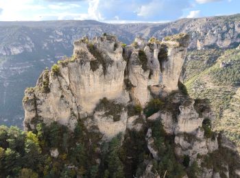 Randonnée Marche Massegros Causses Gorges - La Bourgarie  - Photo