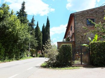 Tour Zu Fuß Greve in Chianti - IT-G4 - Photo