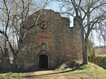 Tocht Te voet Vallgorguina - SL-C 71 El dolmen de Pedra Gentil - Photo