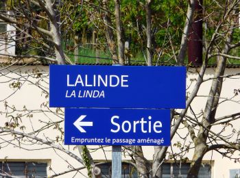 Randonnée A pied Couze-et-Saint-Front - Boucle de Saint-Front - Photo