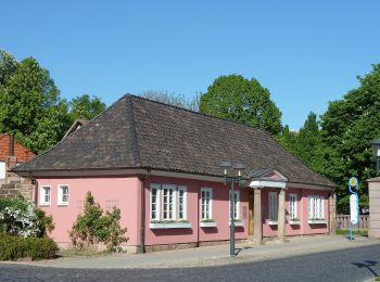 Tocht Te voet Heilbad Heiligenstadt - Dün Rundwanderweg (Grüner Balken) - Photo