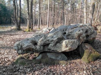 Trail Walking Longny les Villages - Longny-au-Perche (Longny-les-Villages) - Rémalard 16 km - Photo