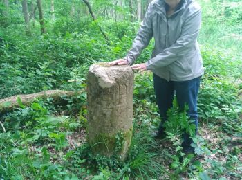 Tocht Stappen Montigny-la-Resle - rando14 - Photo