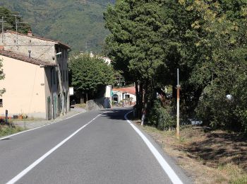 Percorso A piedi Pistoia - Via Francesca della Sambuca - Photo