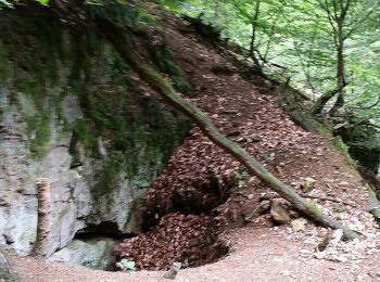 Trail On foot Weinheim - Rundwanderweg Gorxheimertal 3: Eichelberg-Weg - Photo