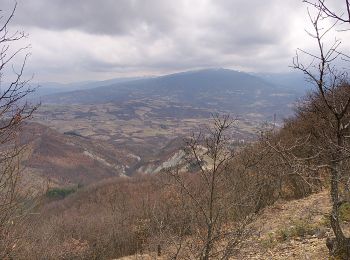 Randonnée A pied Garbagna - Garbagna – Monte Trassa - Photo