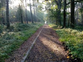 Tocht Noords wandelen Belœil - octobre 2021 - Photo