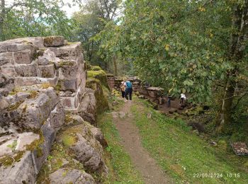 Tocht Stappen La Broque - château de Salm, Chatte pendue - Photo