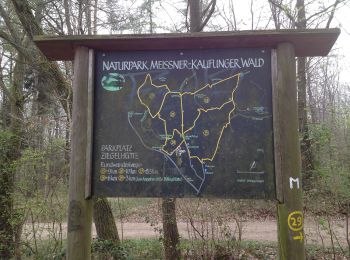 Trail On foot Kaufungen - Kaufungen, N2 - Panoramaweg - Photo