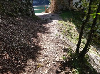 Tocht Stappen Villers-le-Lac - 25 saut du Doubs jura 08.08.24 - Photo