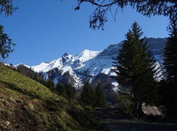 Tour Wandern Jarsy - Croix d'Allant et Plan de la Limace  - Photo