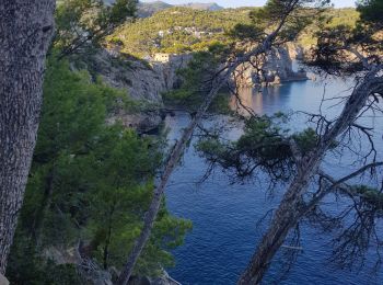 Tocht Stappen Sóller - détour par le sentier d'escalade Mallorca des Baléares - Photo