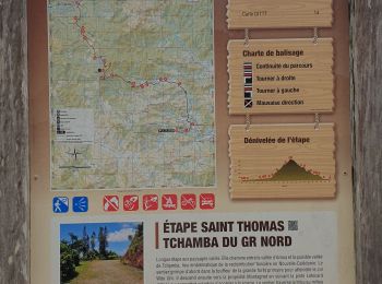 Tour Wandern Poindimié - GR Nord - St Thomas au portail Totem (Nouvelle Calédonie) - Photo