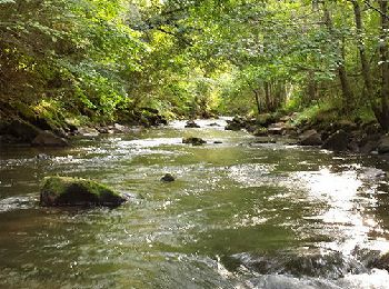 Randonnée Marche Chambon-sur-Lac - Chambon_Couze_Surains - Photo