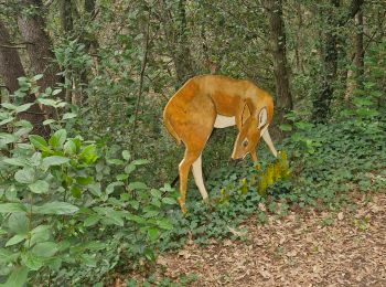 Tour Wandern Roussas - Roussas le Vernet 10km. - Photo