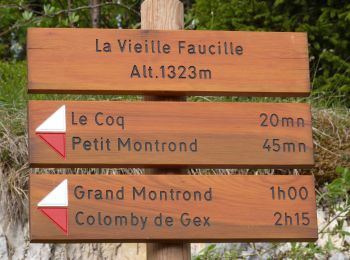 Trail Walking Gex - Jura (col de la faucille) 04-06-19 - Photo