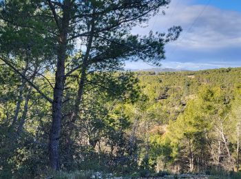 Tour Wandern Salon-de-Provence - Salon les bories de tallagard - Photo