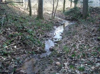 Percorso A piedi Mönchberg - Ortswanderweg Mönchberg 3 - Photo