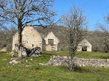 Percorso Marcia Rocamadour - St sauveur - Photo