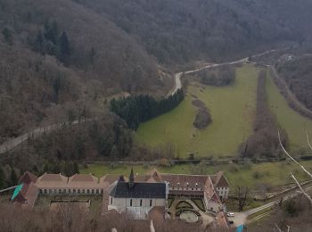 Tour Wandern Corveissiat - Arnans-Petit Corent-Lavillat  - Photo