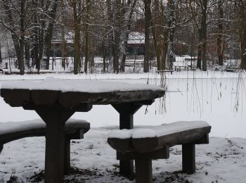 Tocht Te voet Debrecen - P+ (Nagyerdő) - Photo