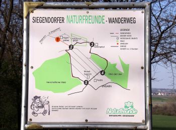 Trail On foot Siegendorf/Cindrof - Puszta-Tour (Vital-Parcours Siegendorf) - Photo