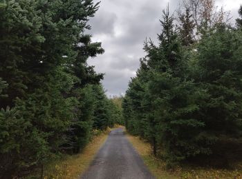 Randonnée Marche Rimouski - Randonnée du parc du Bic  - Photo