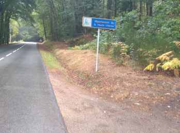 Excursión Bicicleta híbrida Royère-de-Vassivière - jour 16 - Photo