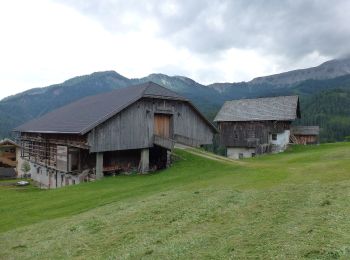 Tour Zu Fuß St. Lorenzen - IT-20 - Photo