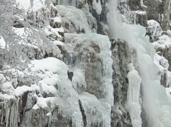 Randonnée Marche La Valla-en-Gier - Le saut du gier gelé  - Photo