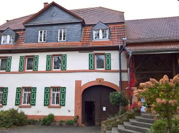 Tour Zu Fuß Groß-Umstadt - Rundwanderweg Groß-Umstadt 1: Umstädter Panoramarunde - Photo