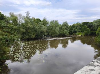 Trail Walking Mauges-sur-Loire - Saint Florent le Vieil  - Photo