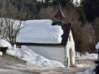 Tocht Te voet Hollersbach im Pinzgau - Bienenlehrpfad - Photo