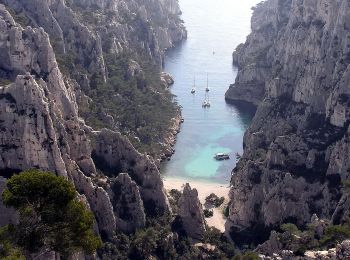 Trail On foot Cassis - FR-5 - Photo