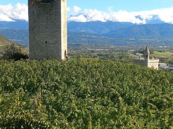 Percorso Marcia Chignin - rando dans les vignes autour de chignin - Photo