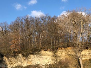 Tour Wandern Sint-Truiden - Verborgen moois Overbroek-Egoven - Photo