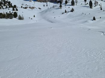 Excursión Esquí de fondo Villar-Saint-Pancrace - crête de buguet - Photo