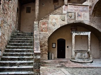 Randonnée A pied San Gimignano - Dolce campagna, antiche mura 19 - Photo