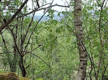 Excursión Senderismo Differdange - Prenzebierg Giele Botter - Photo