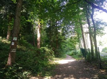 Trail Walking Sentheim - Baerenkopf  - Photo