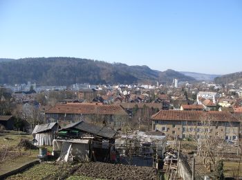 Trail On foot Winterthur - Sennhof - Winterthur - Photo