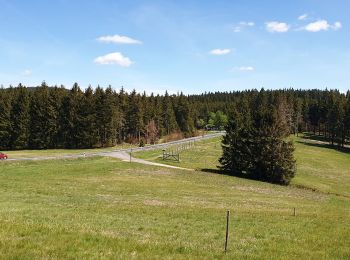 Tocht Te voet Onbekend - Gipfelwanderweg Suhl (Thüringer Wald) - Photo