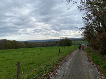 Trail Walking Somme-Leuze - Waillet  - Photo