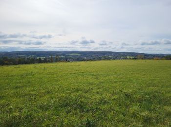 Excursión Senderismo Namur - Malonne 151024 - Photo