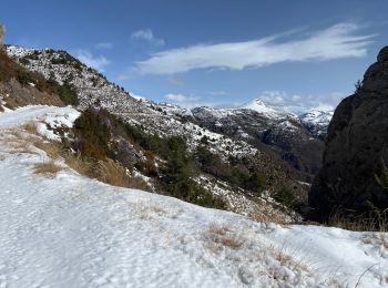 Tocht Sneeuwschoenen Auvare - Col de Sui - Photo