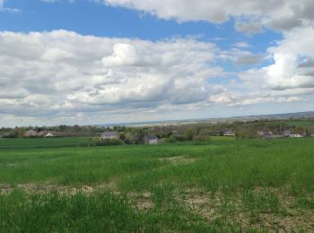 Randonnée Marche Torigny-les-Villes - Les roches de Hams - Photo