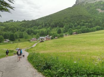 Tour Wandern Entremont-le-Vieux - Refuge de l'Alpette - Photo