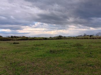 Excursión Senderismo Argelès-sur-Mer - réserve du mas Larrieu de part et d autre du Tech - Photo